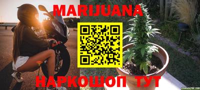 гашик Новозыбков