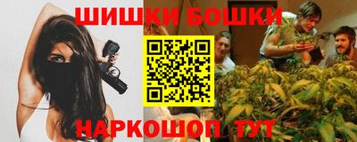 гашик Новозыбков