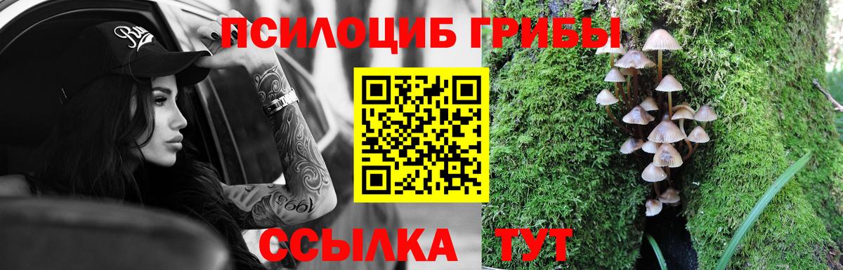 Псилоцибиновые грибы Cubensis  Галлюциногенные грибы Cubensis  Томск  Вход с VPN 